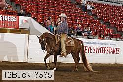 12buck_3385 proof