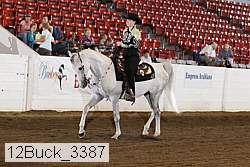 12buck_3387 proof