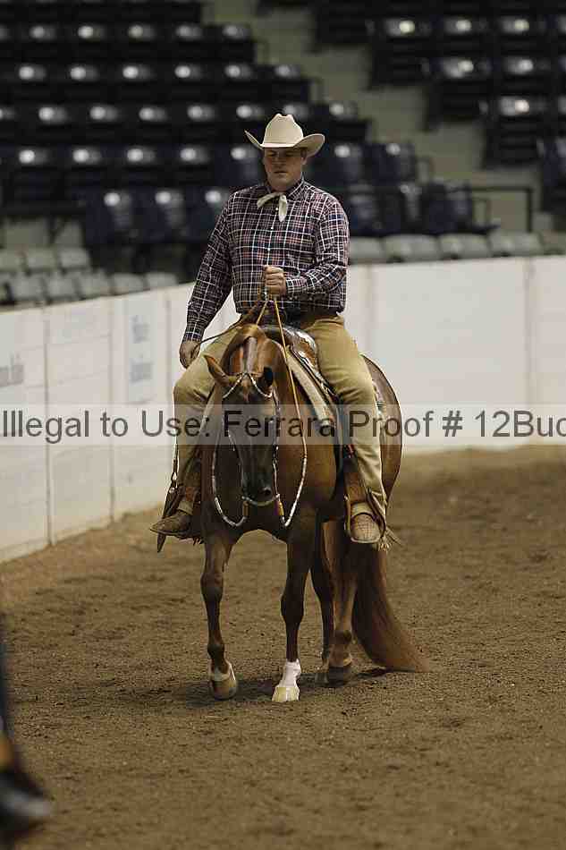 Proof 12buck_3390