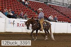 12buck_3391 proof