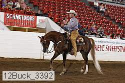 12buck_3392 proof