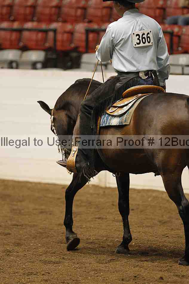Proof 12buck_3395