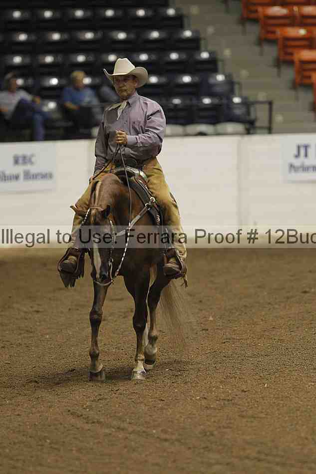 Proof 12buck_3396
