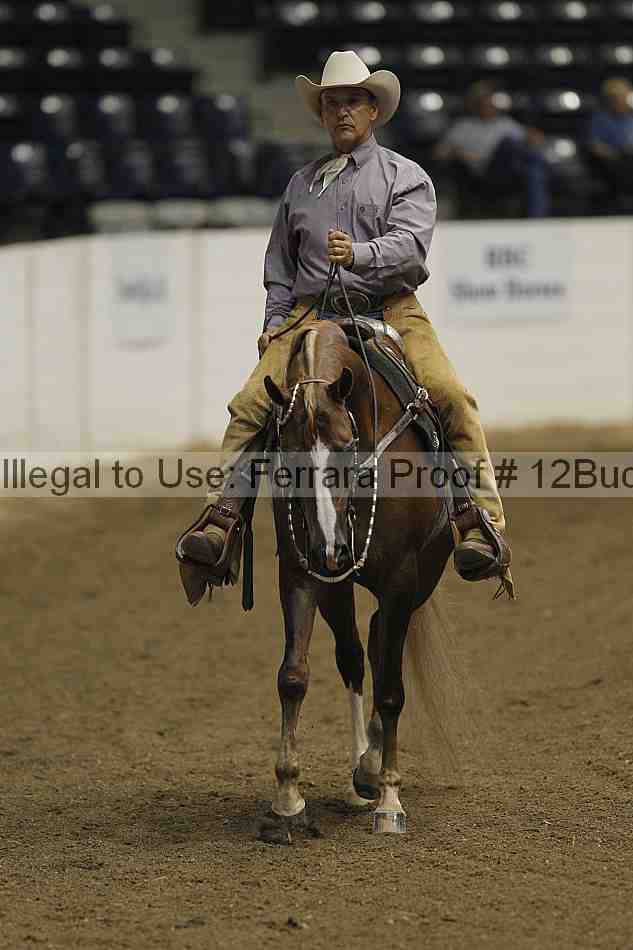 Proof 12buck_3397