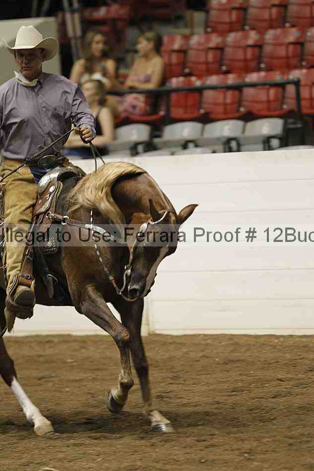 Proof 12buck_3404