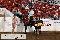12buck_3407 proof