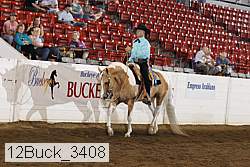 12buck_3408 proof