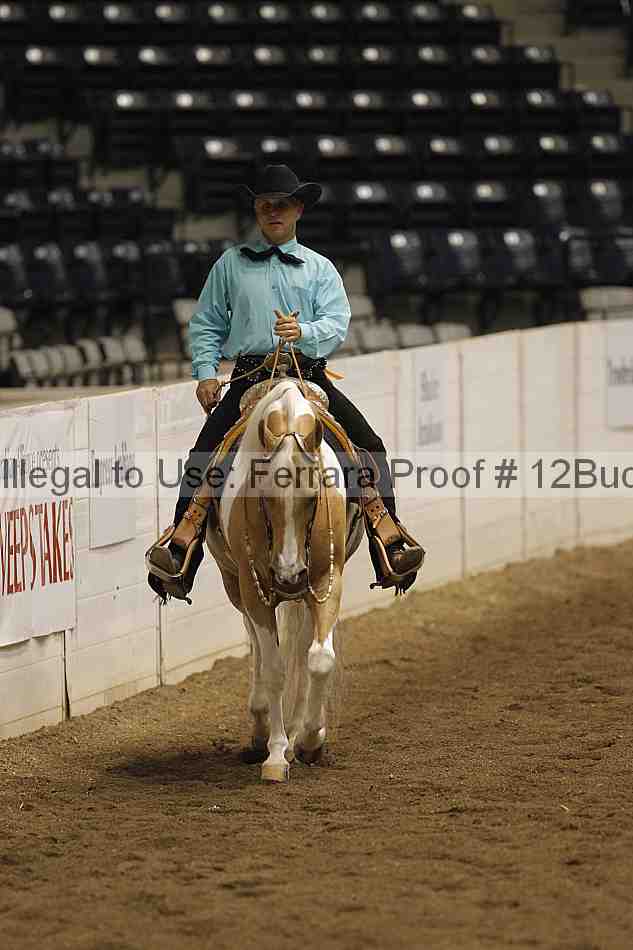 Proof 12buck_3411