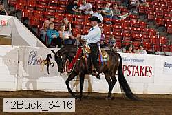 12buck_3416 proof
