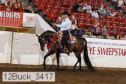 12buck_3417 proof