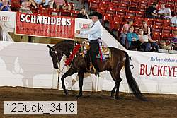 12buck_3418 proof