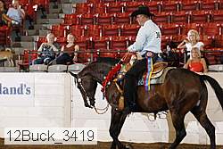 12buck_3419 proof