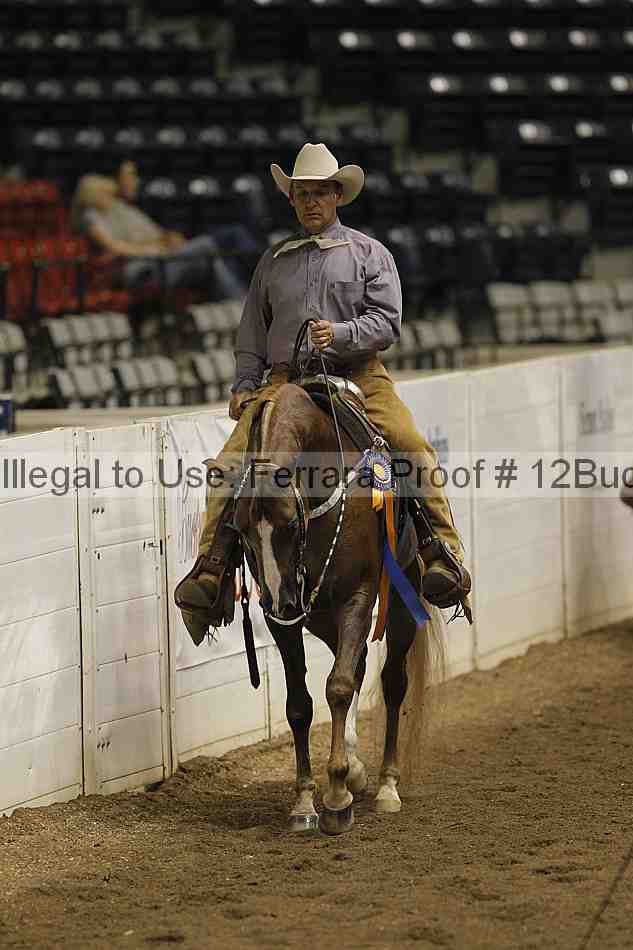 Proof 12buck_3422