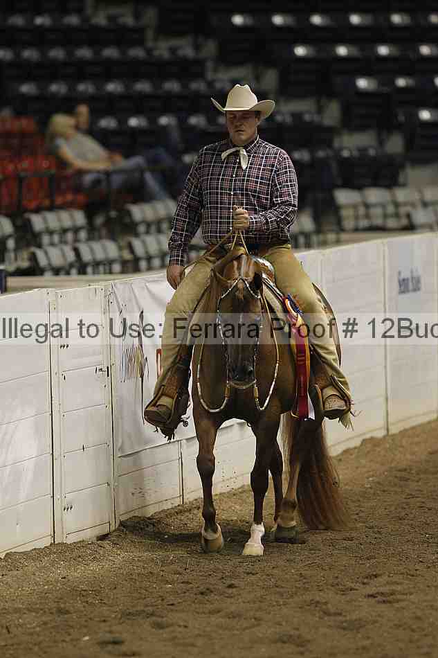 Proof 12buck_3424