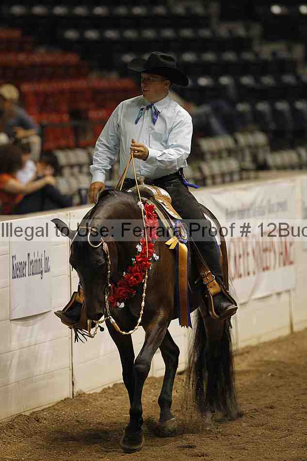 Proof 12buck_3427