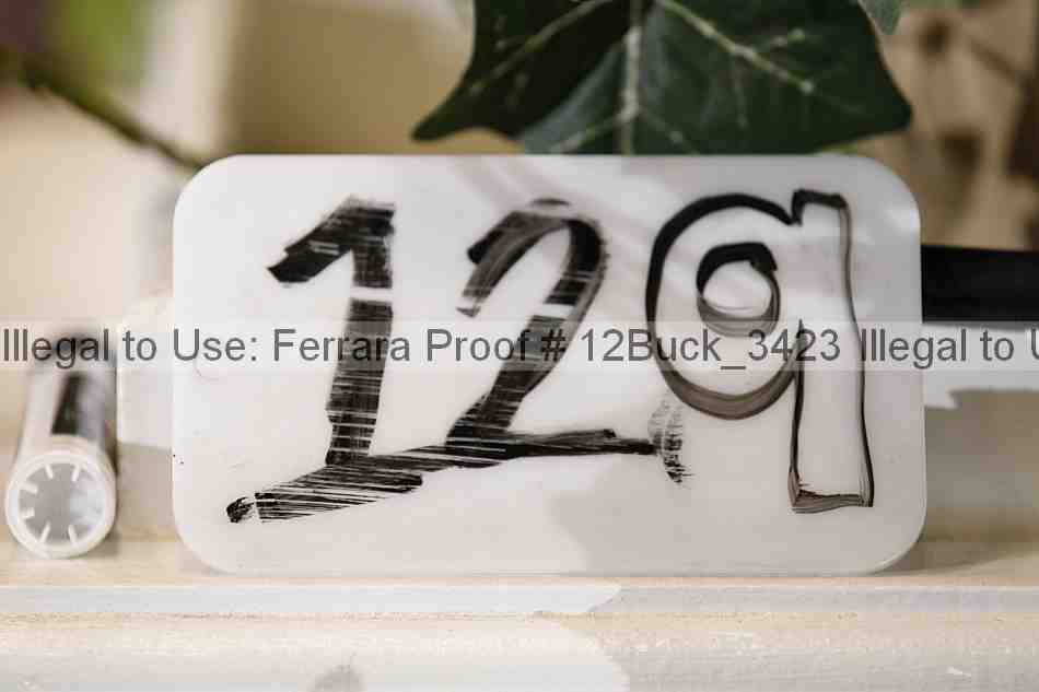 Proof 12buck_3423