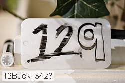 12buck_3423 proof