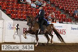 12buck_3434 proof