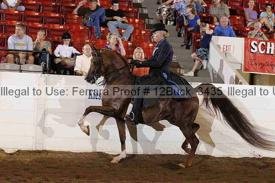 Proof 12buck_3435