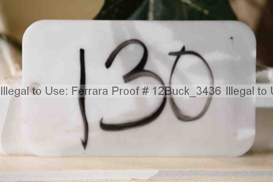 Proof 12buck_3436