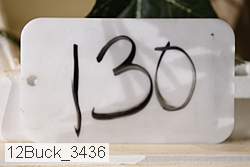 12buck_3436 proof