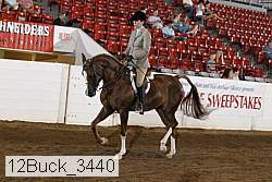 12buck_3440 proof