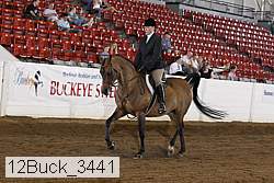 12buck_3441 proof