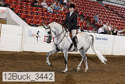 12buck_3442 proof