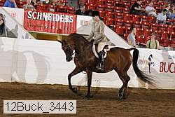 12buck_3443 proof