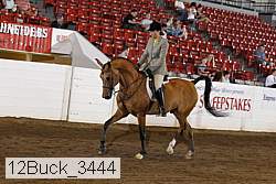 12buck_3444 proof