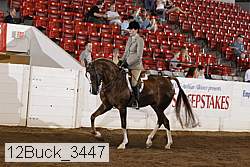 12buck_3447 proof