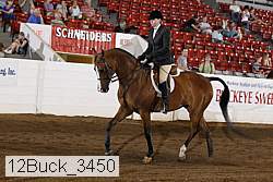 12buck_3450 proof