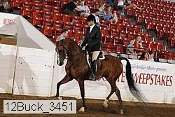 12buck_3451 proof