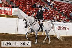 12buck_3452 proof