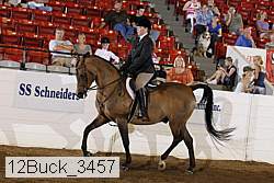 12buck_3457 proof