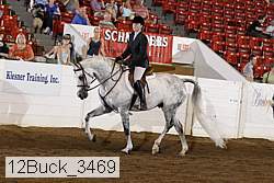 12buck_3469 proof