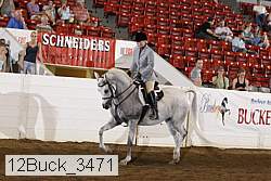 12buck_3471 proof
