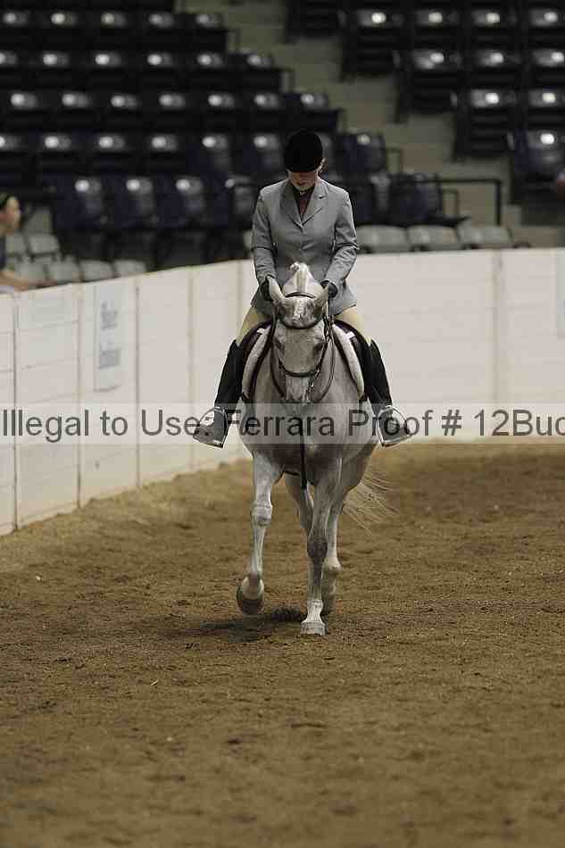 Proof 12buck_3479