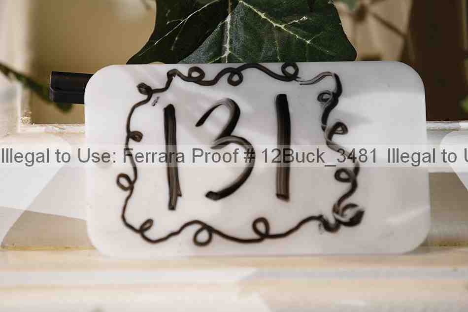 Proof 12buck_3481