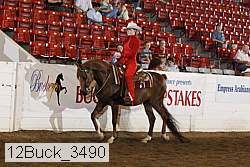 12buck_3490 proof