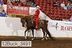12buck_3491 proof
