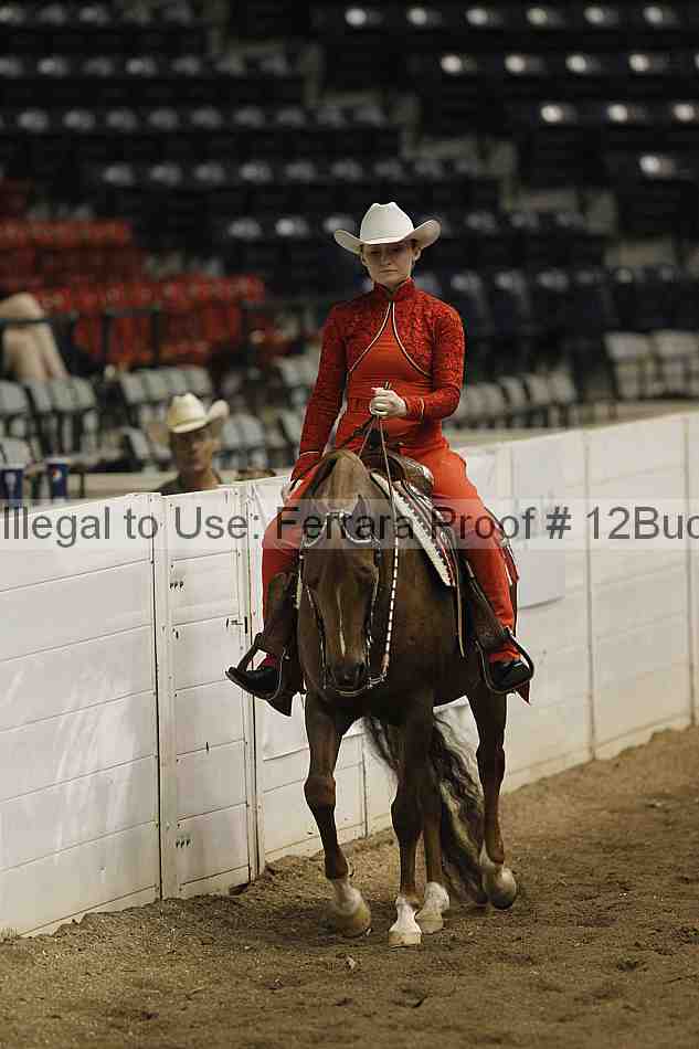 Proof 12buck_3493