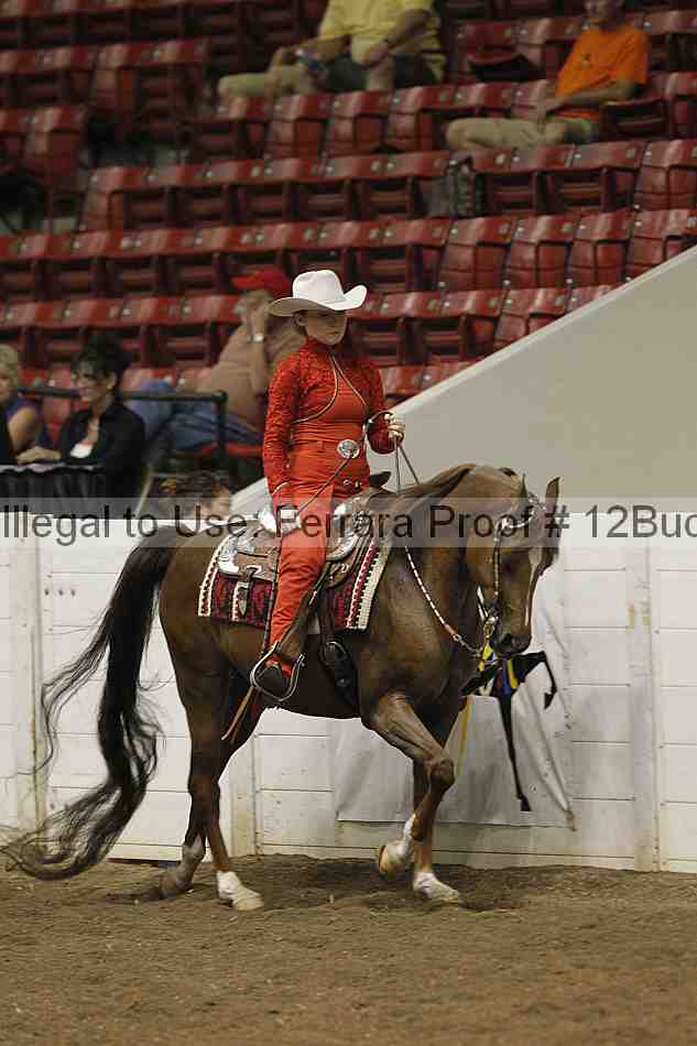 Proof 12buck_3495