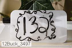 12buck_3497 proof