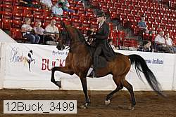 12buck_3499 proof