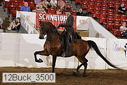 12buck_3500 proof