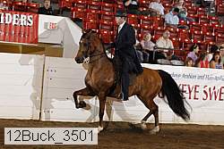 12buck_3501 proof