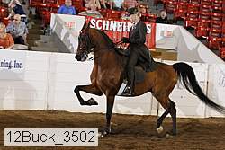 12buck_3502 proof