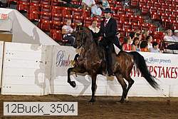 12buck_3504 proof