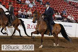 12buck_3506 proof